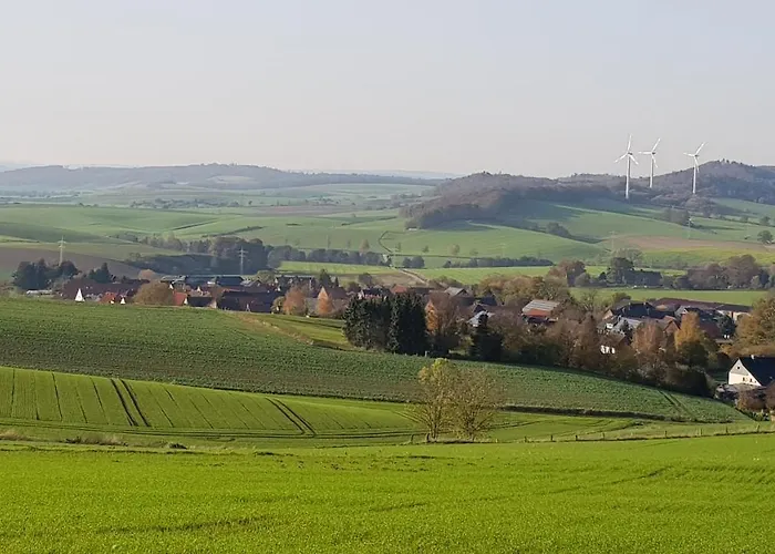 Waldblick