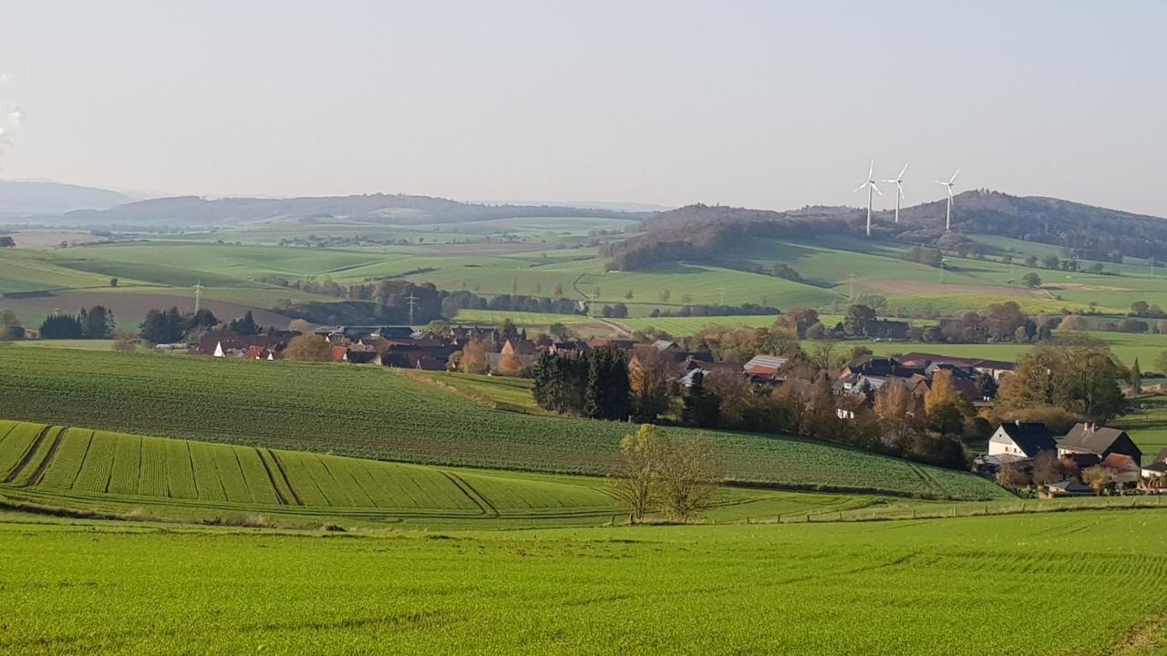Waldblick *